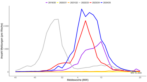 Influenza-Auswertung Stand: 15.05.2025